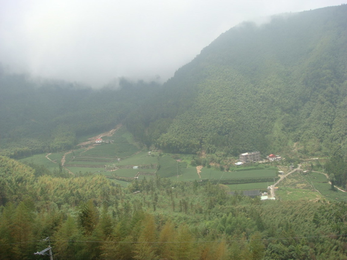 村民希望能重建在這個林班地