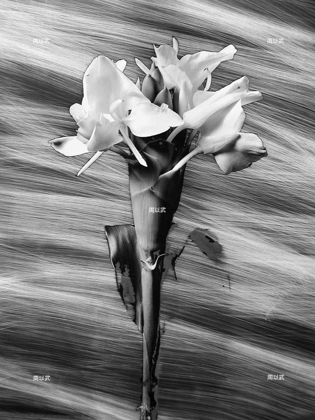 光度-繪畫體素系列