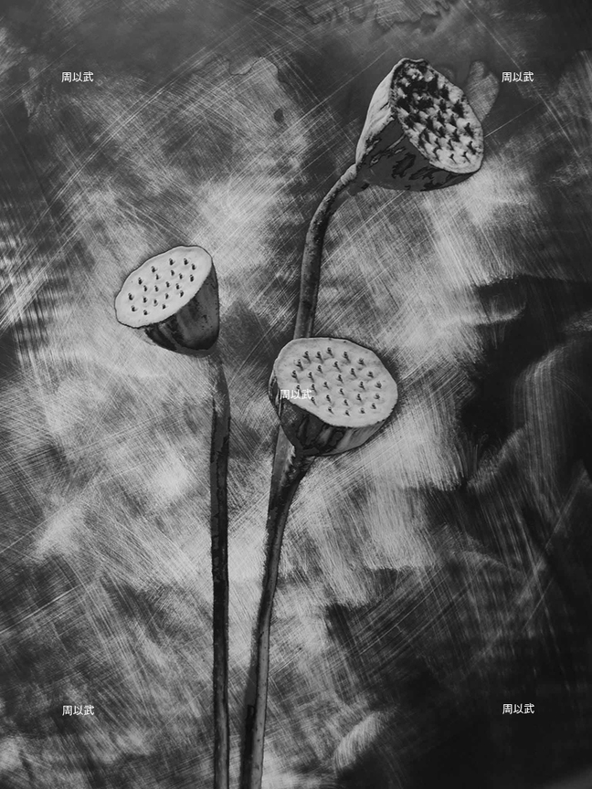 光度-繪畫體素系列