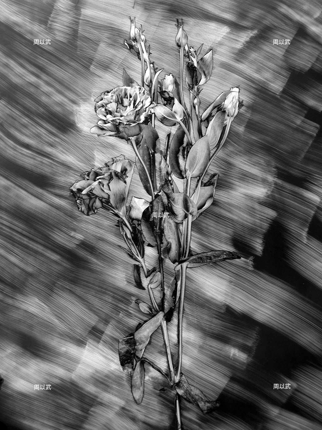 光度-繪畫體素系列