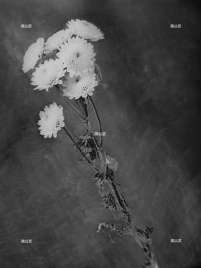 光度-繪畫體素系列