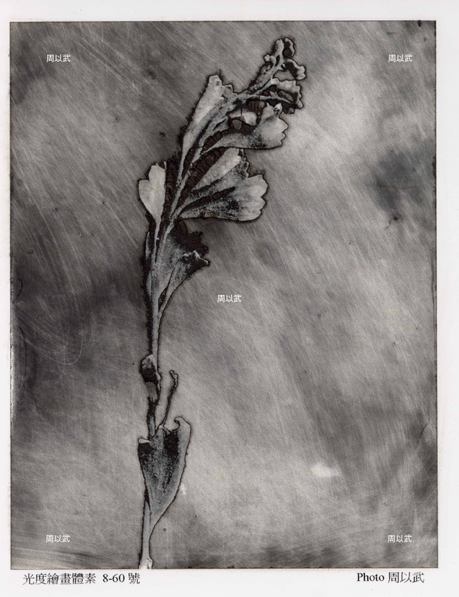 光度-繪畫體素系列