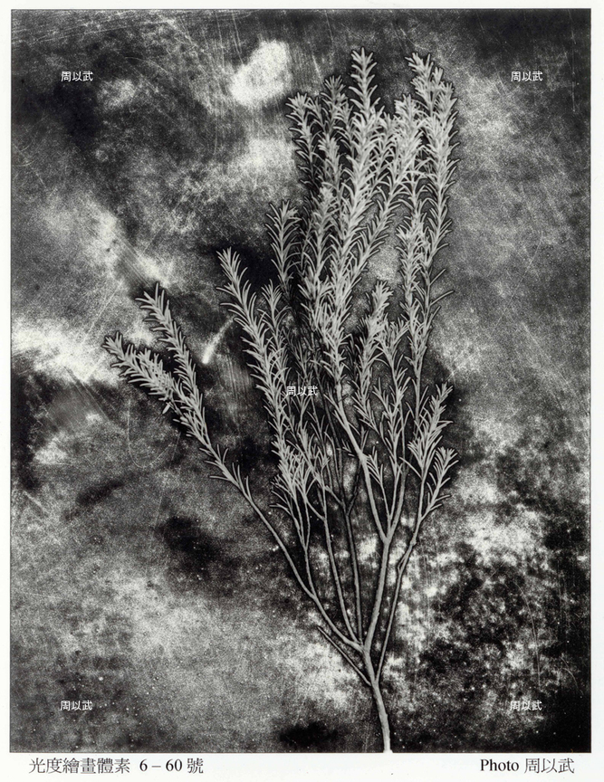 光度-繪畫體素系列