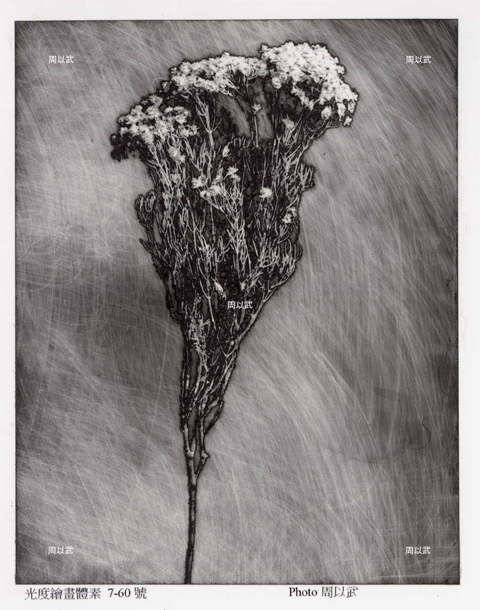 光度-繪畫體素系列