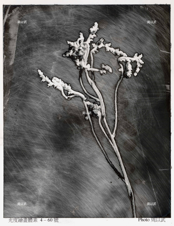 光度-繪畫體素系列