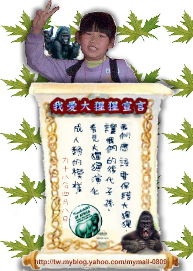 新照片設計4126-2