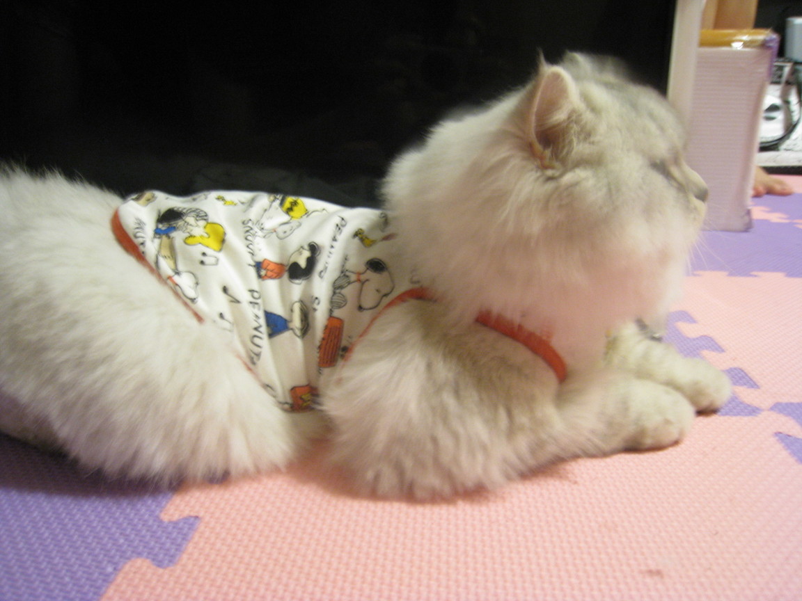 夏天穿的史努比小背心