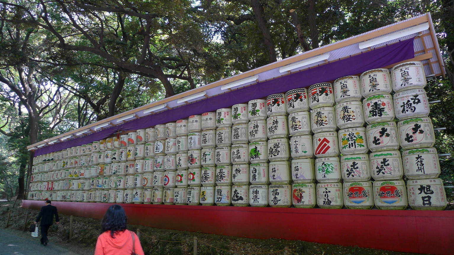 P1020868_大小