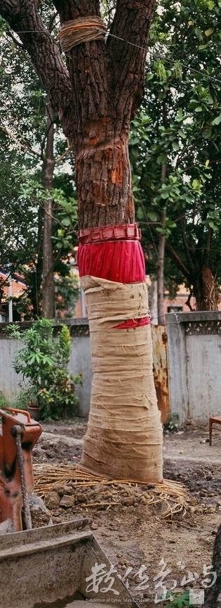 大龍國小內的大龍峒遺址考古探坑˙2009年5月3日