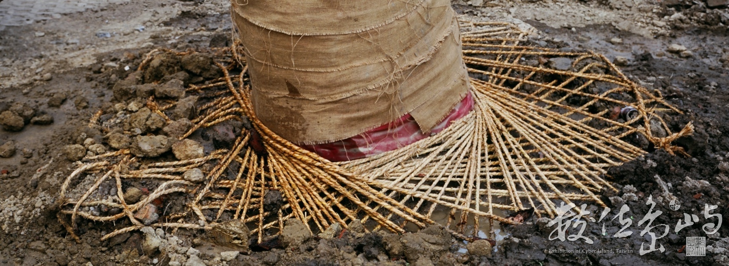 大龍國小內的大龍峒遺址考古探坑˙2009年5月3日