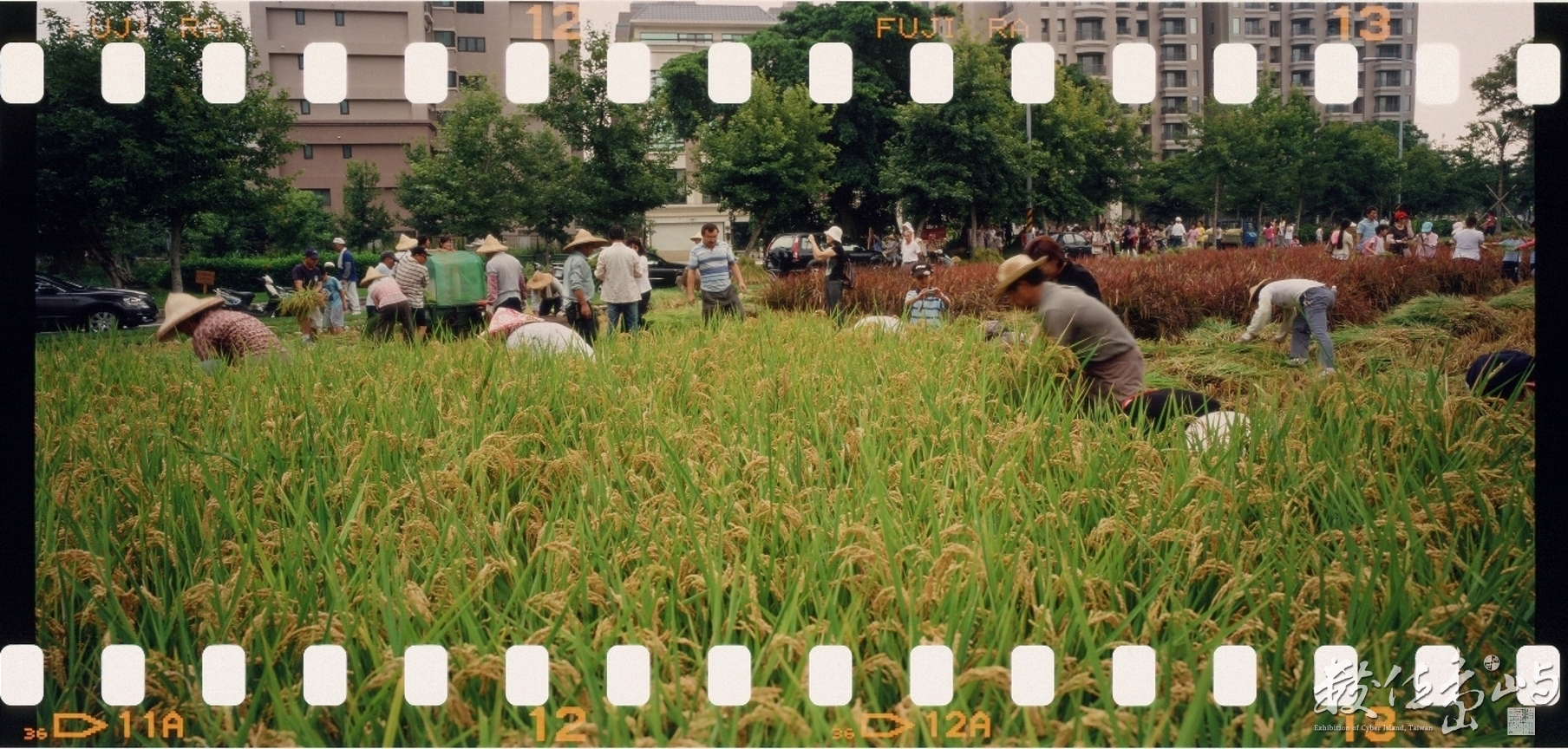 新瓦屋收割˙2009暑假