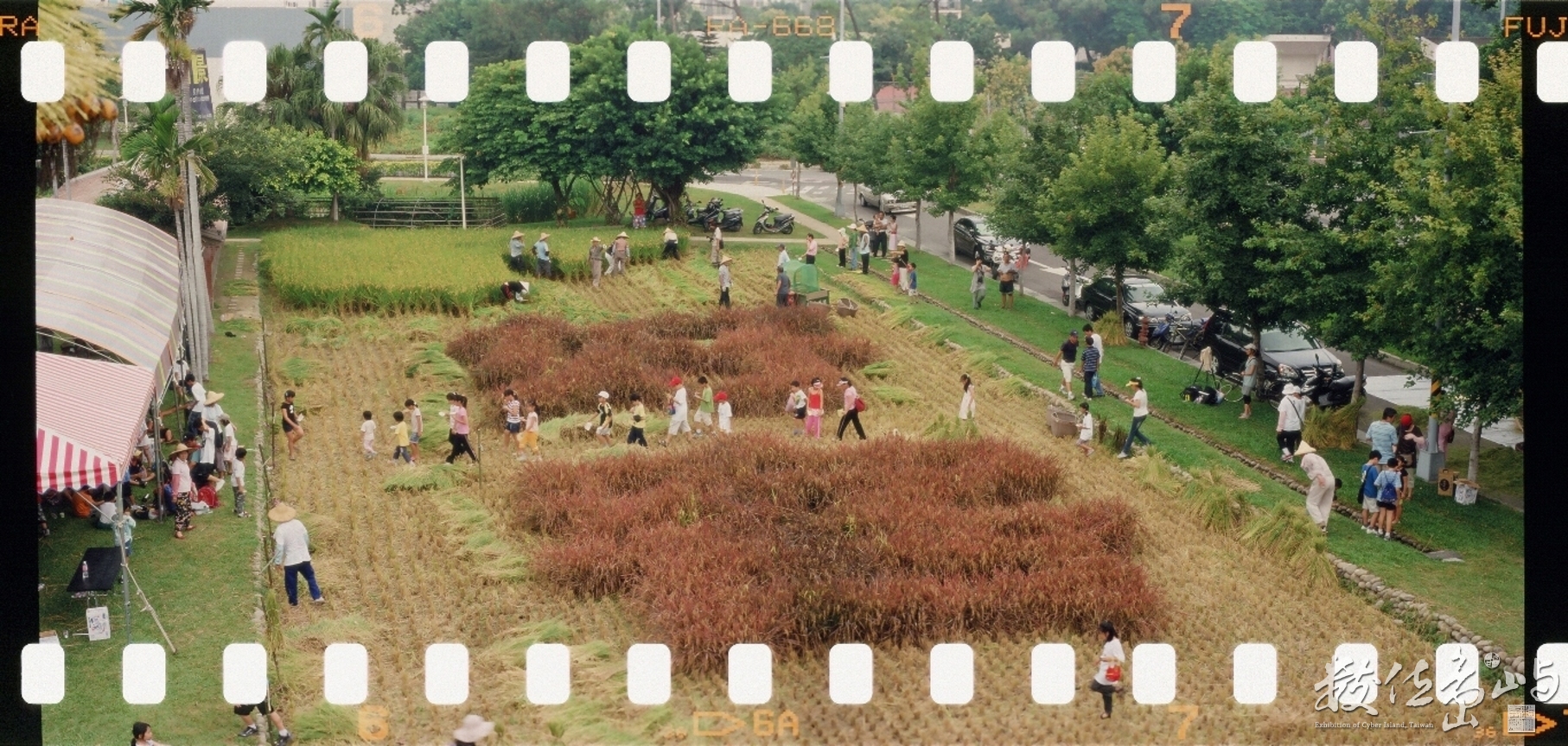 新瓦屋收割˙2009暑假