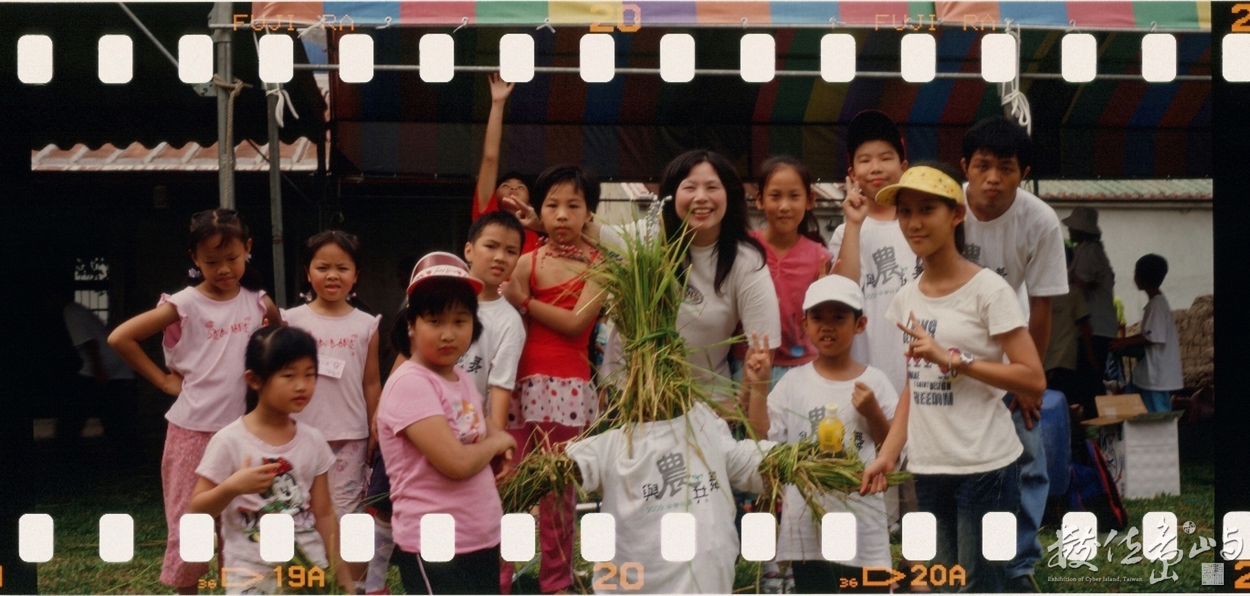 新瓦屋收割˙2009暑假