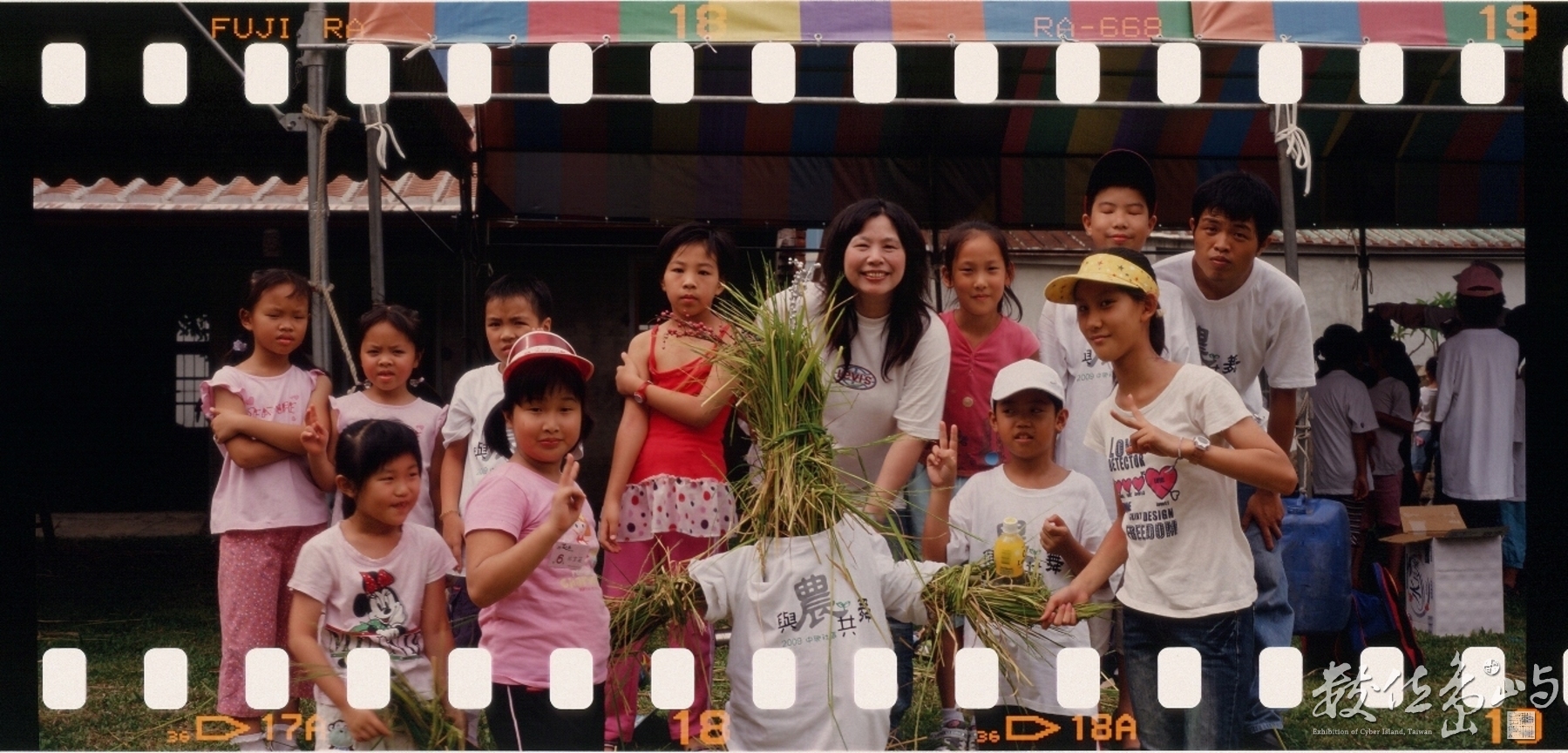 新瓦屋收割˙2009暑假