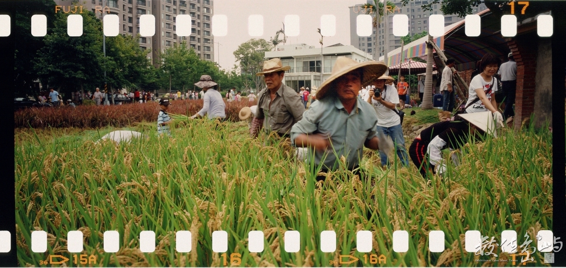 新瓦屋收割˙2009暑假