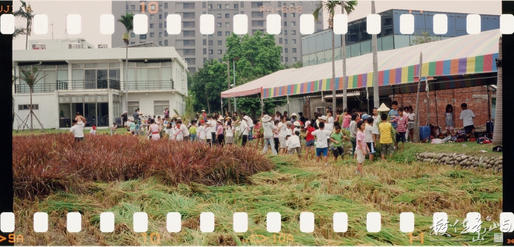 新瓦屋收割˙2009暑假