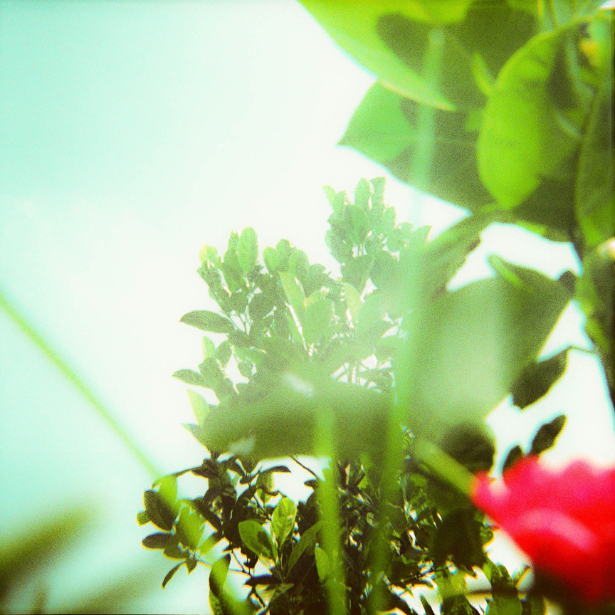 我想一直躺在這