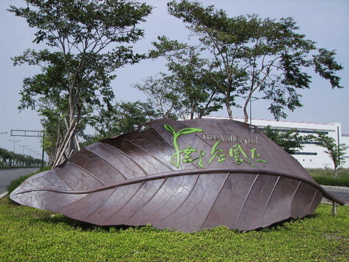 天上掉下來的大葉子