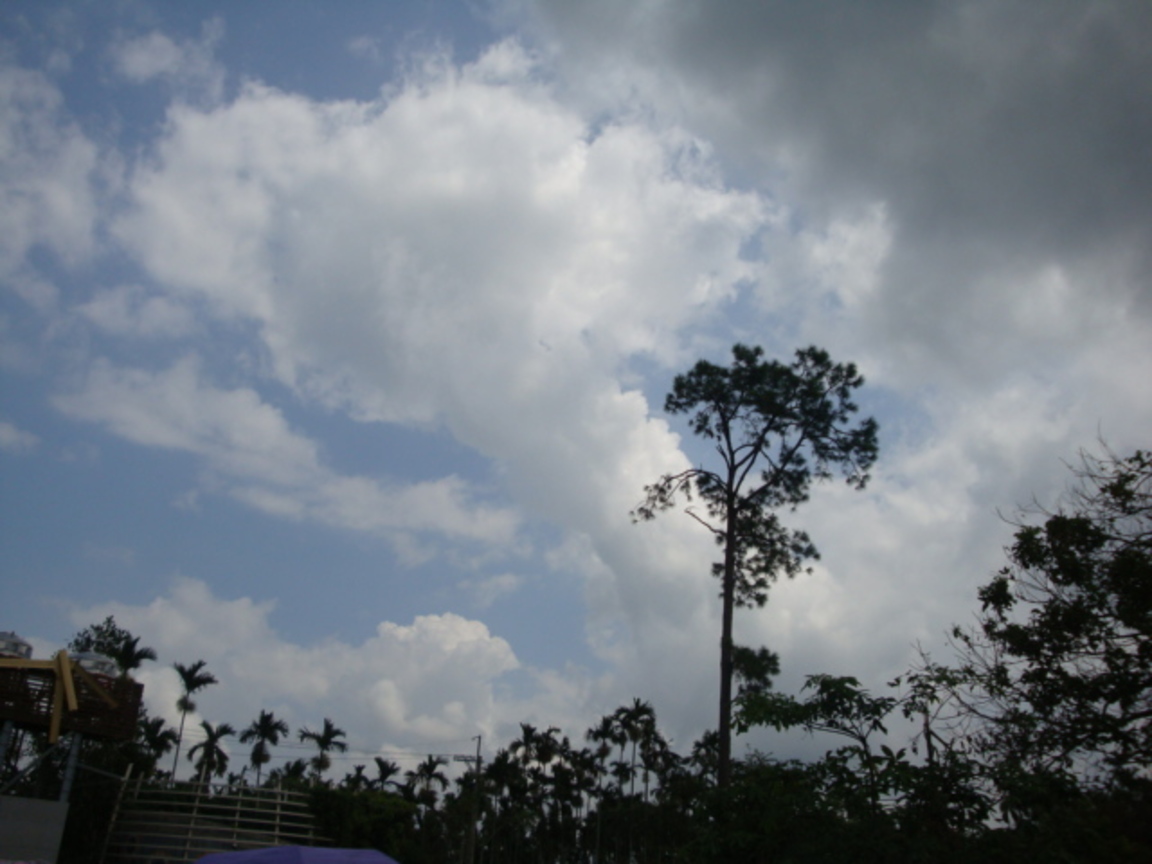 喜歡前景是黑暗的