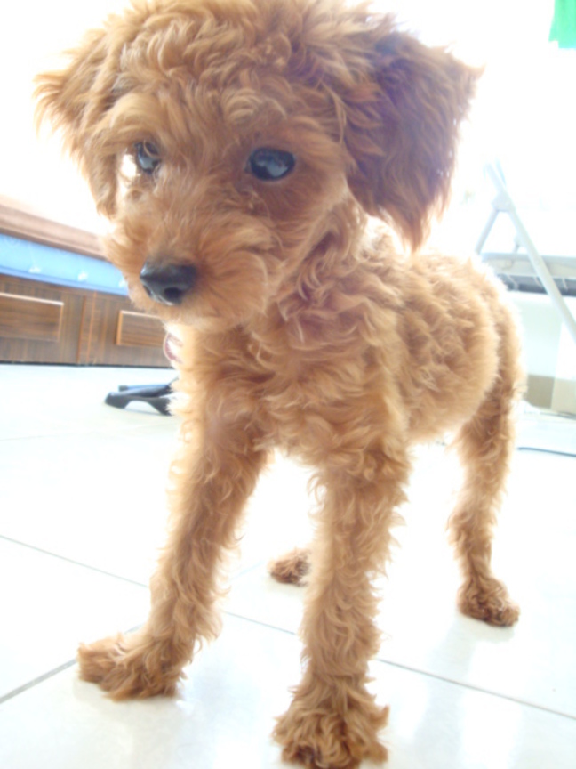 我把ev+2 讓他很乾淨