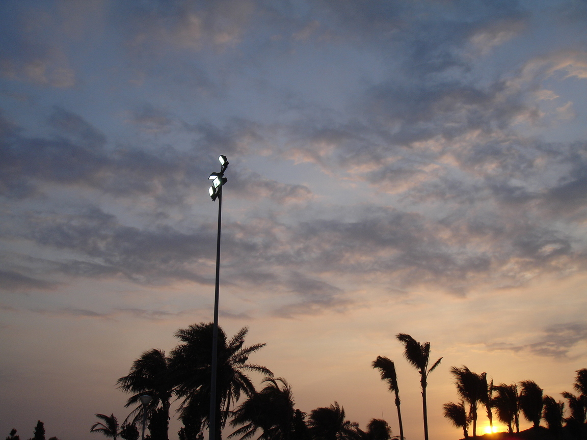 DSC09172