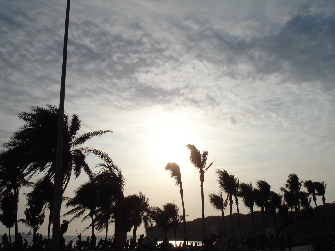 DSC09115
