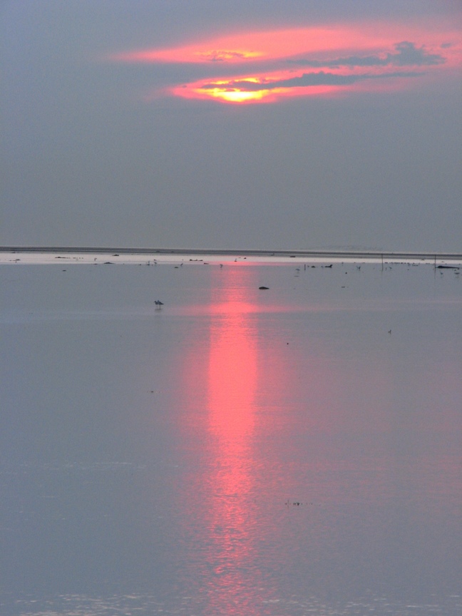 台中-高美濕地的夕陽