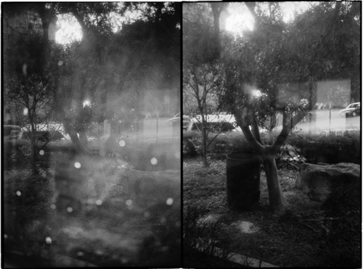 Grain and Frame  My Memory