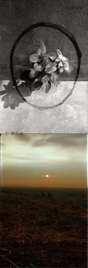 Grain and Frame  My Memory