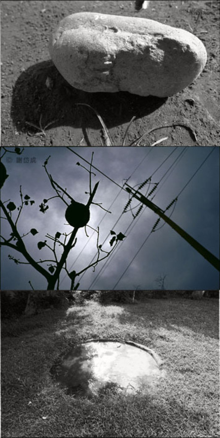 Grain and Frame  My Memory