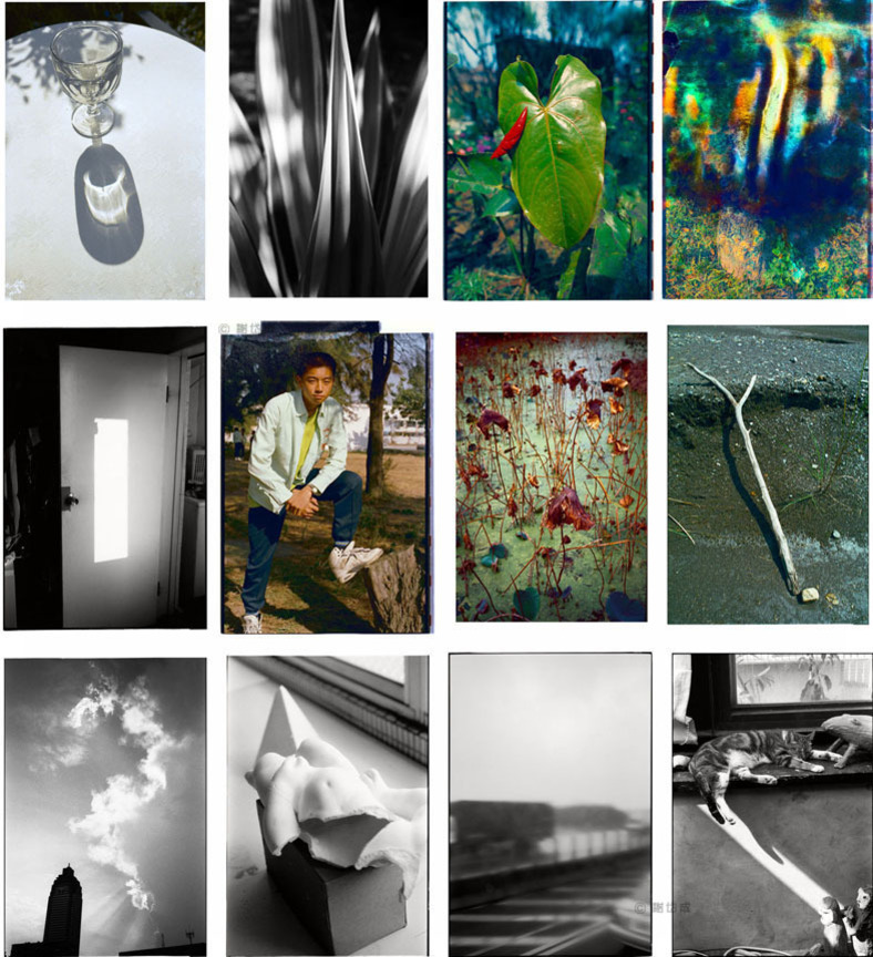 Grain and Frame  My Memory