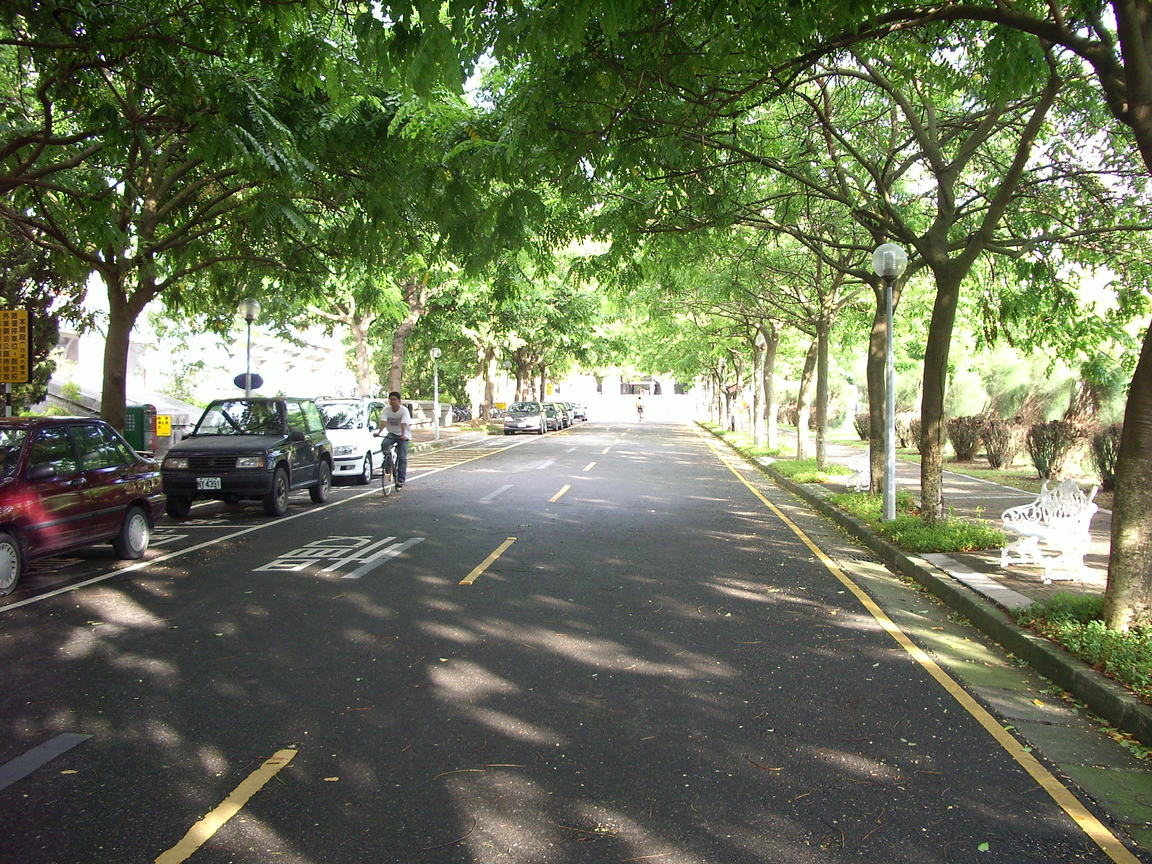 CCU通往管院的路