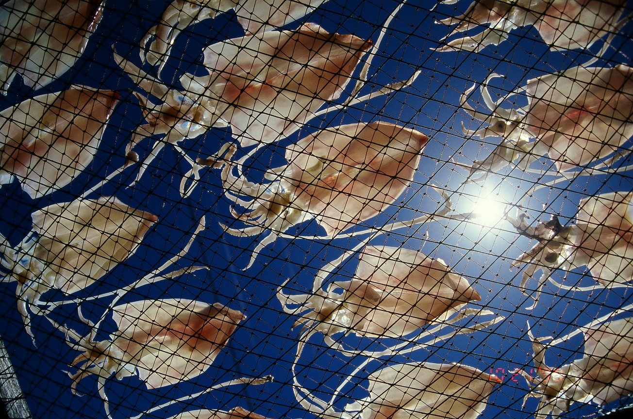 浮游(附:Kodak  ELITE CHROME EB 100度)