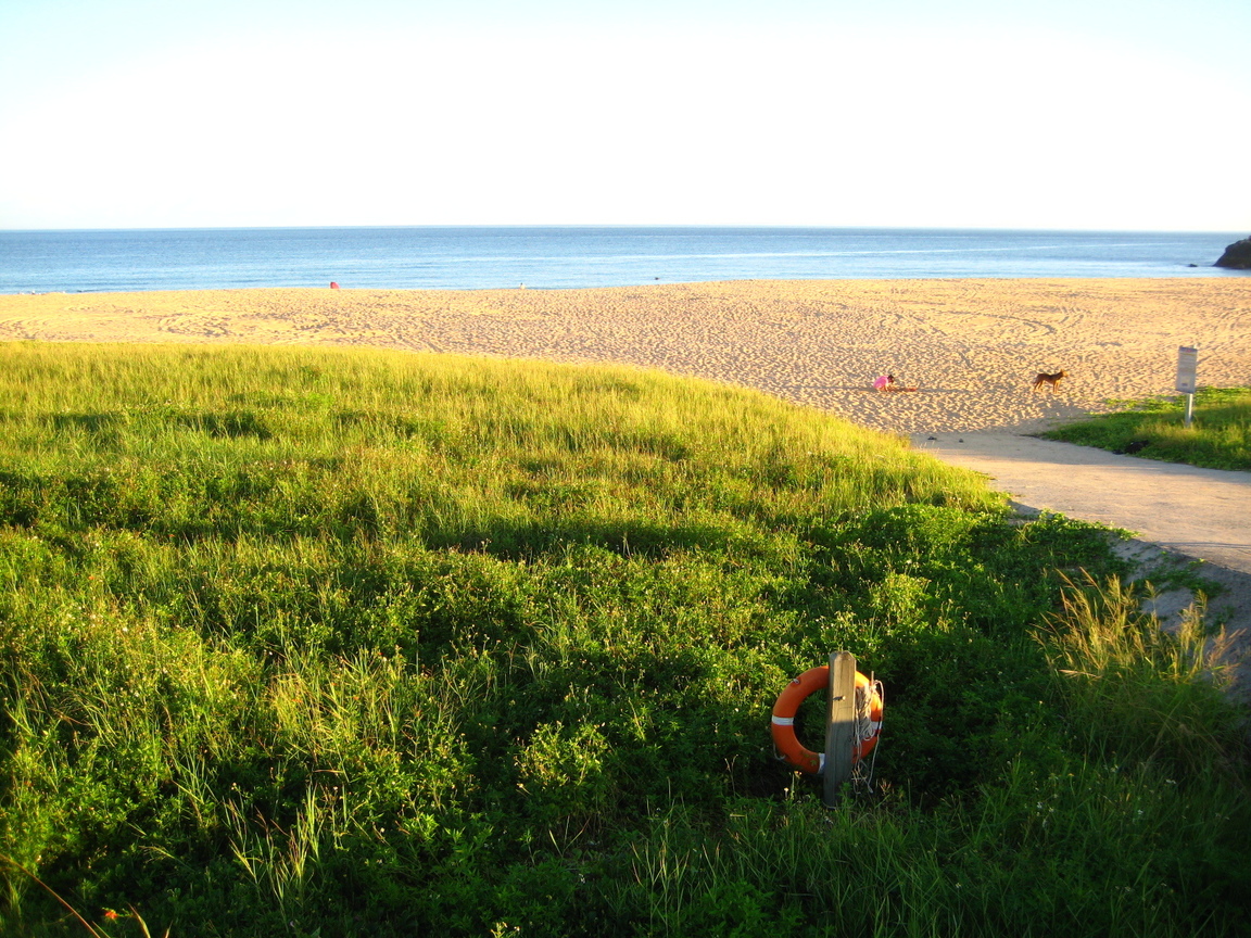 像是夢裡才會出現的海邊、沙灘、草原、藍天