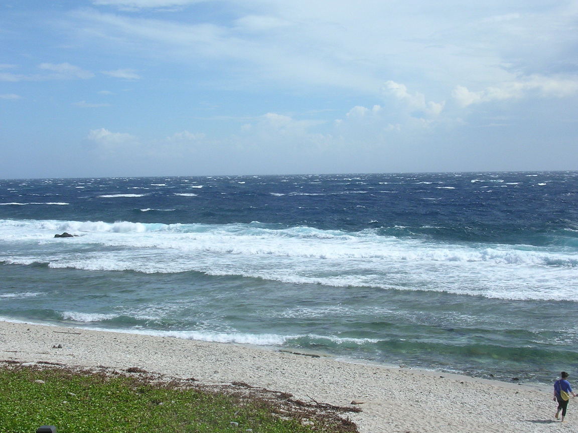 DSCN3604