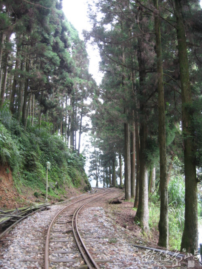 阿里山鐵道－奮起湖路段