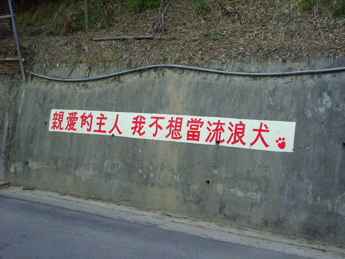 我不想當流浪犬