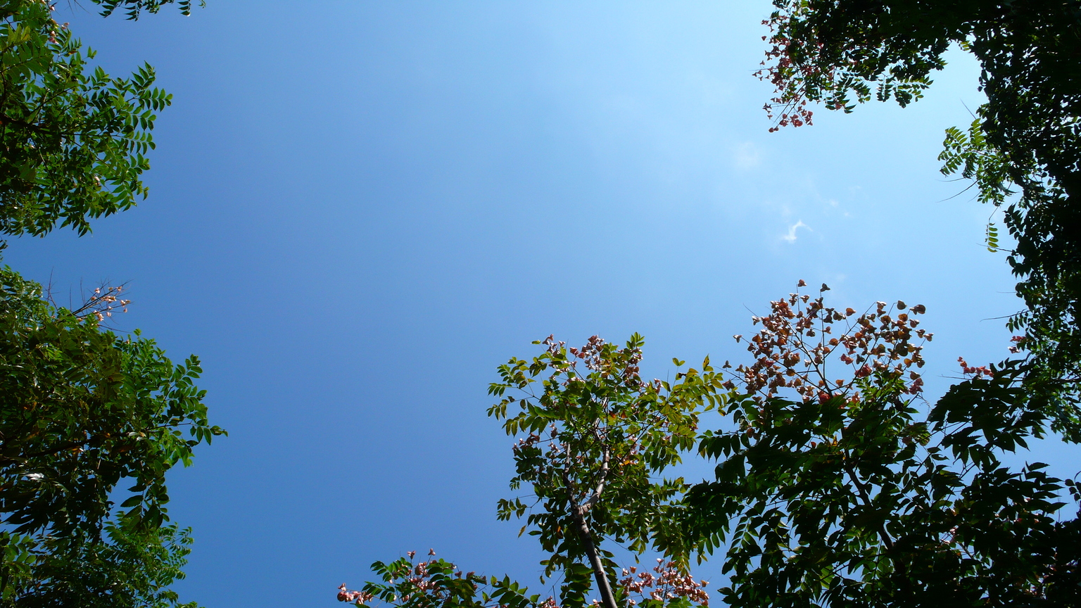 那一天，天很藍