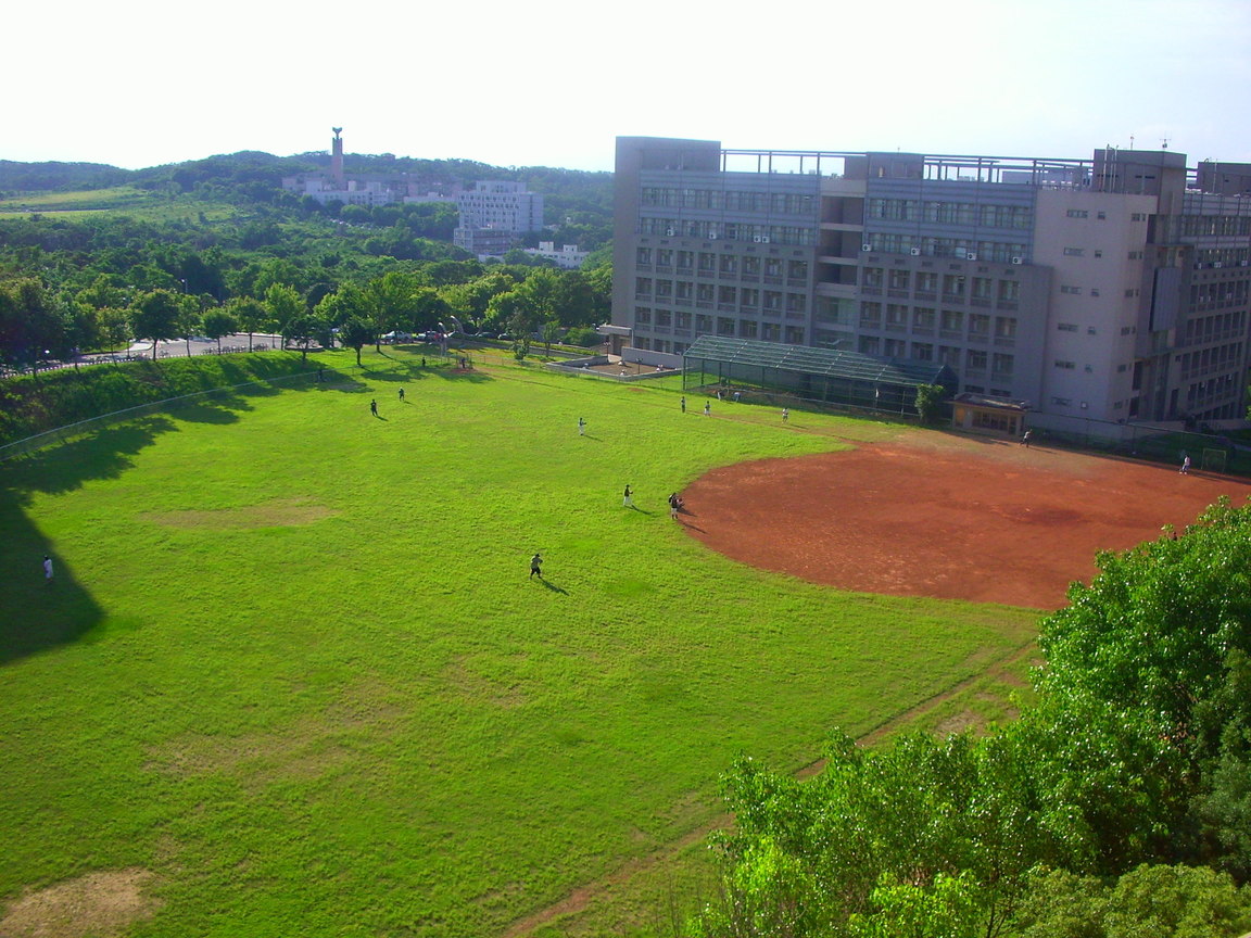 從管二6樓往下看棒球場