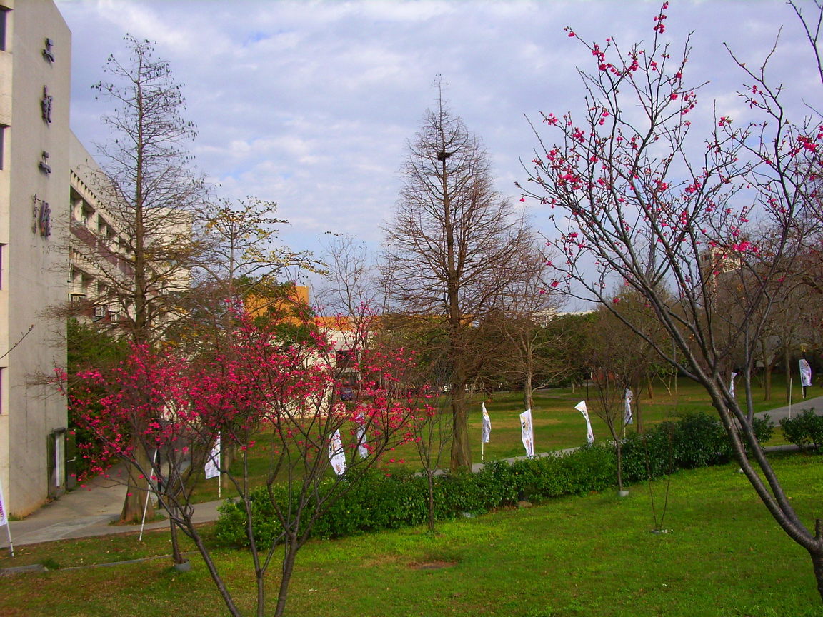 秋風起, 秋楓現