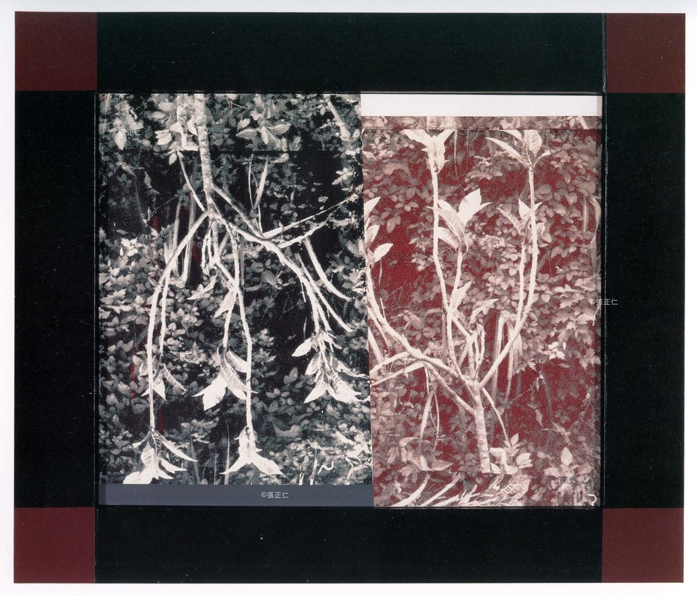 城市 塵世 植物