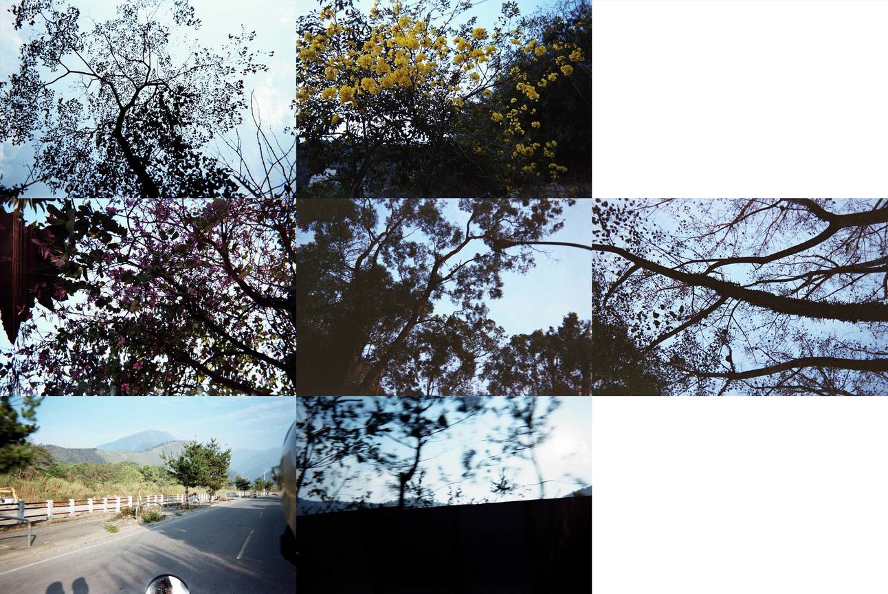 你好,當初,我又回來了...編號0