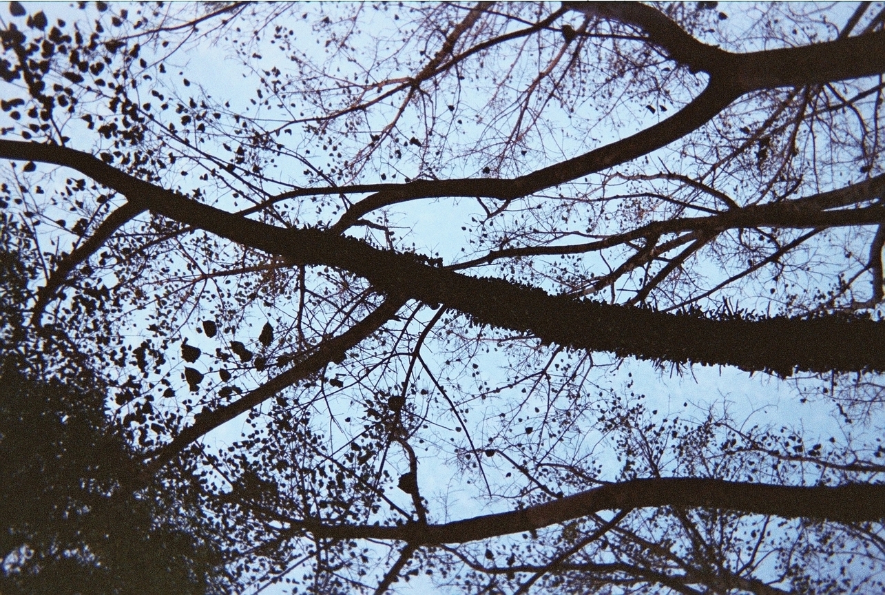 你好,當初,我又回來了...編號右