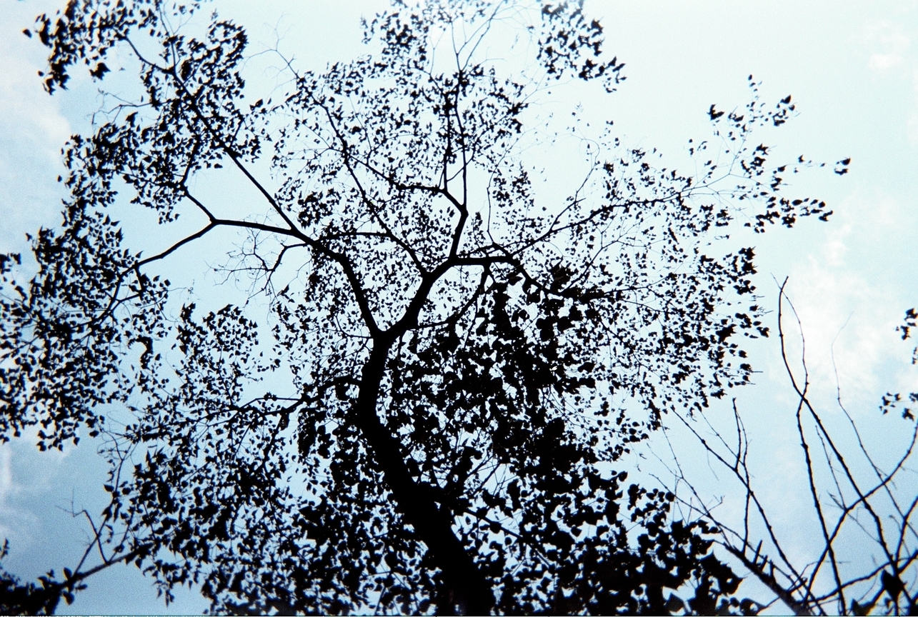 你好,當初,我又回來了...編號左上