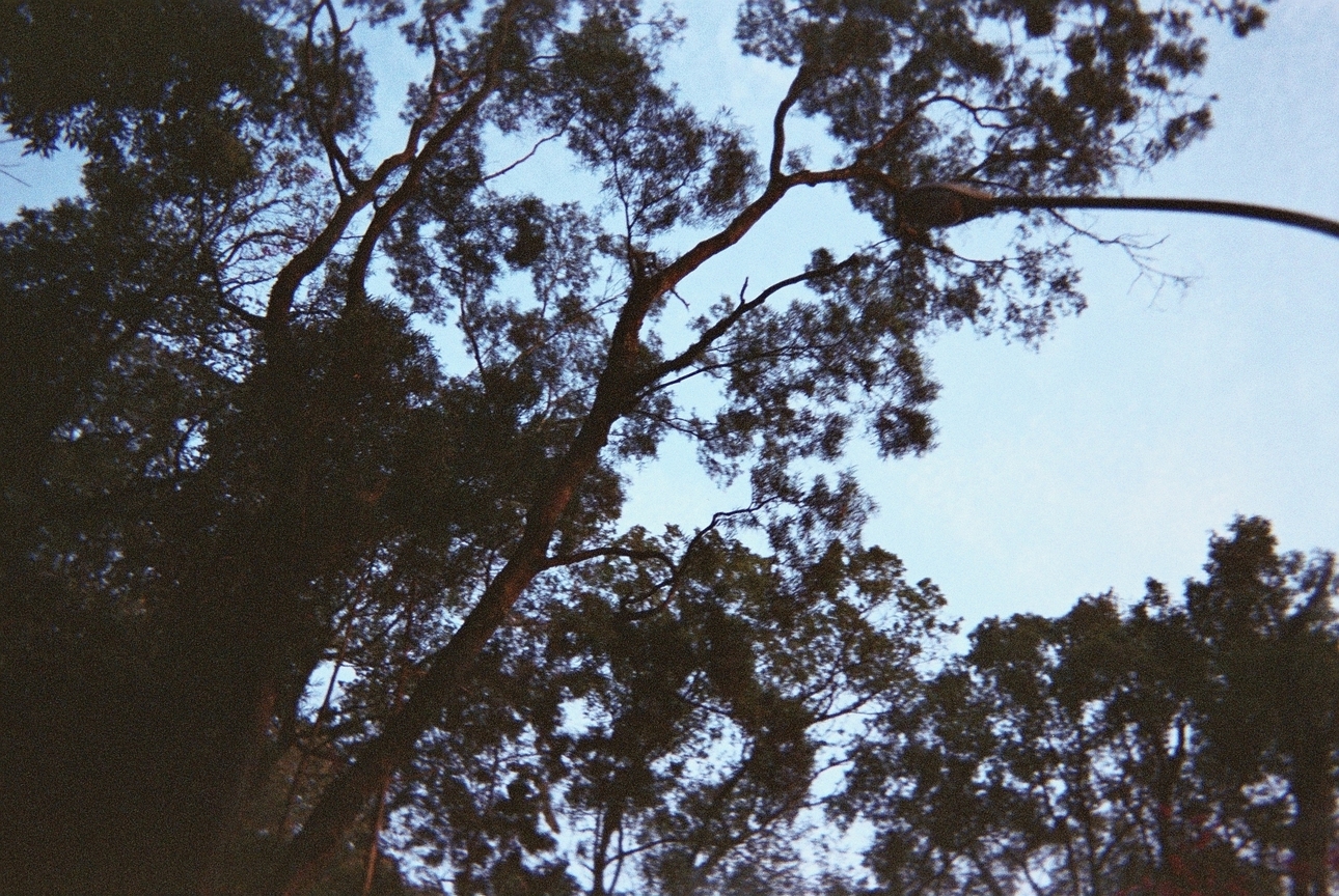 你好,當初,我又回來了...編號中中