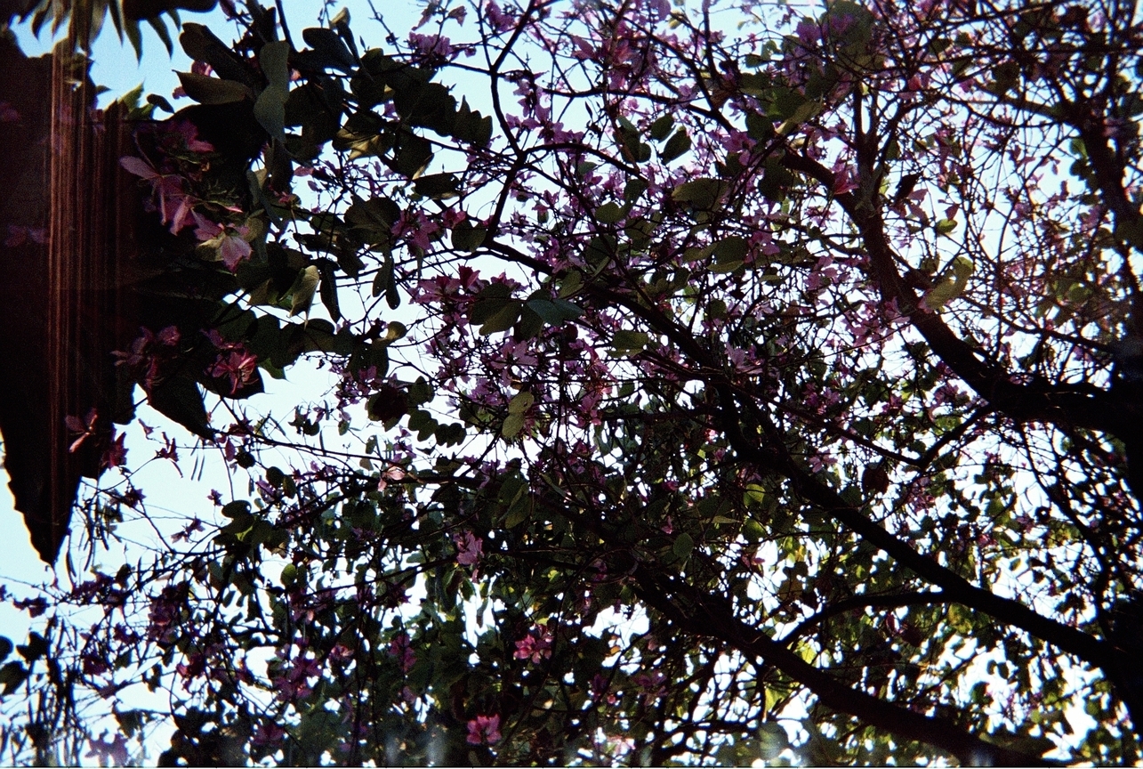 你好,當初,我又回來了...編號左中