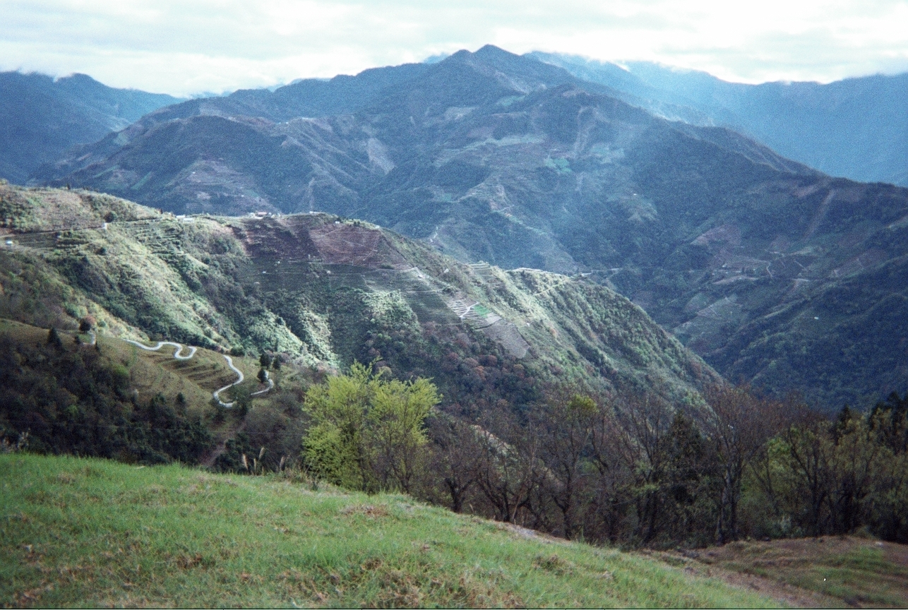 當他們併在一起時,就回到當初的感受...編號3