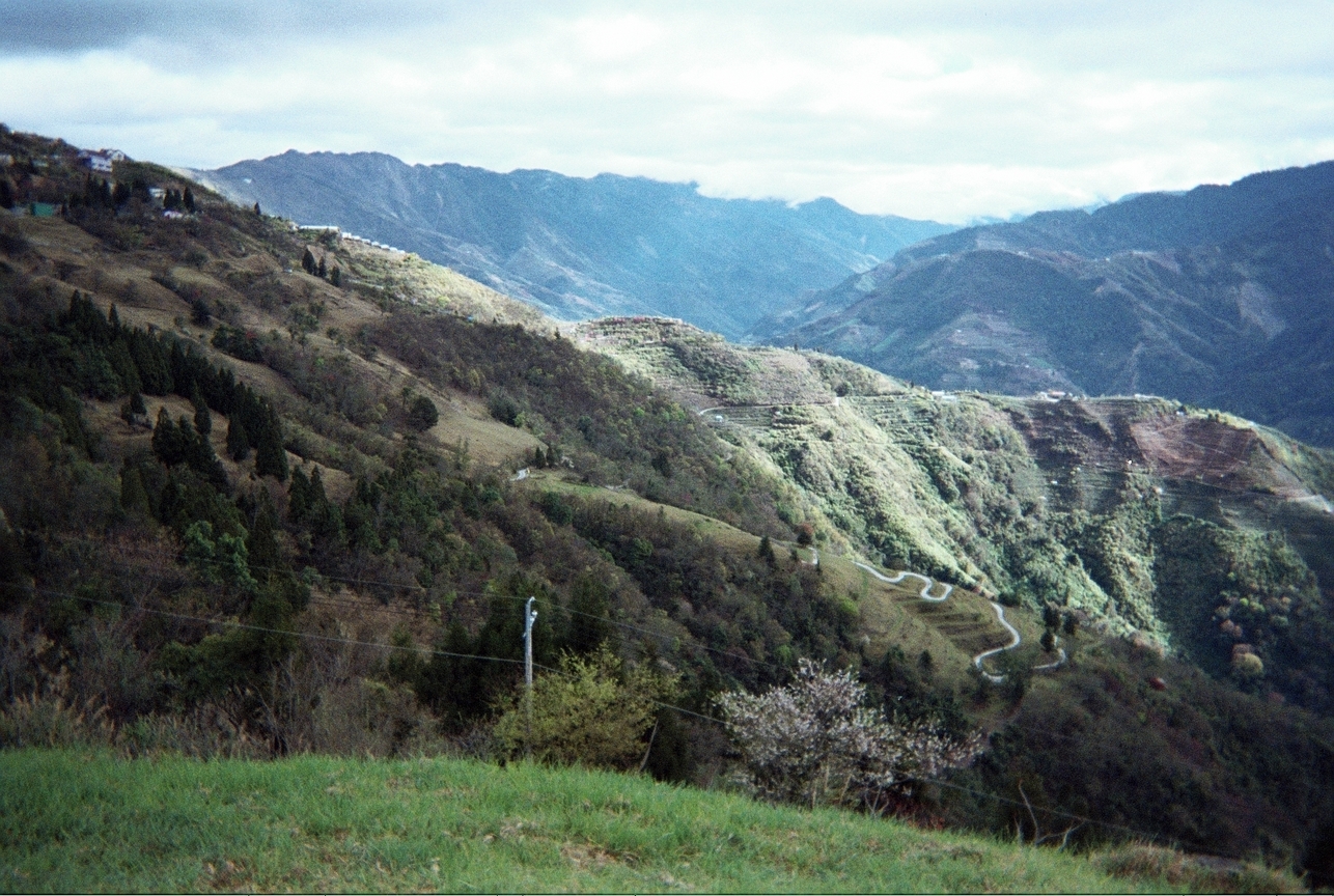 當他們併在一起時,就回到當初的感受...編號5