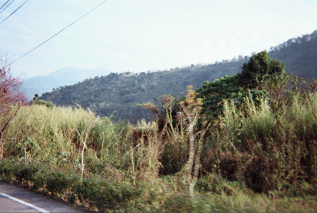 當他們併在一起時,就回到當初的感受...編號2
