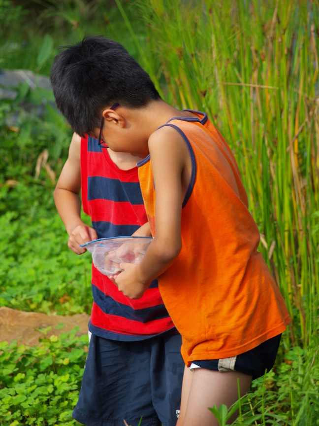 5. 嘿！抓到咧～